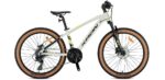 2026 Kron XC 100 H Disk 26 Jant Bisiklet Bej/Sarı