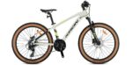 2026 Kron XC 100 H Disk 29 Jant Bisiklet Bej/Sarı